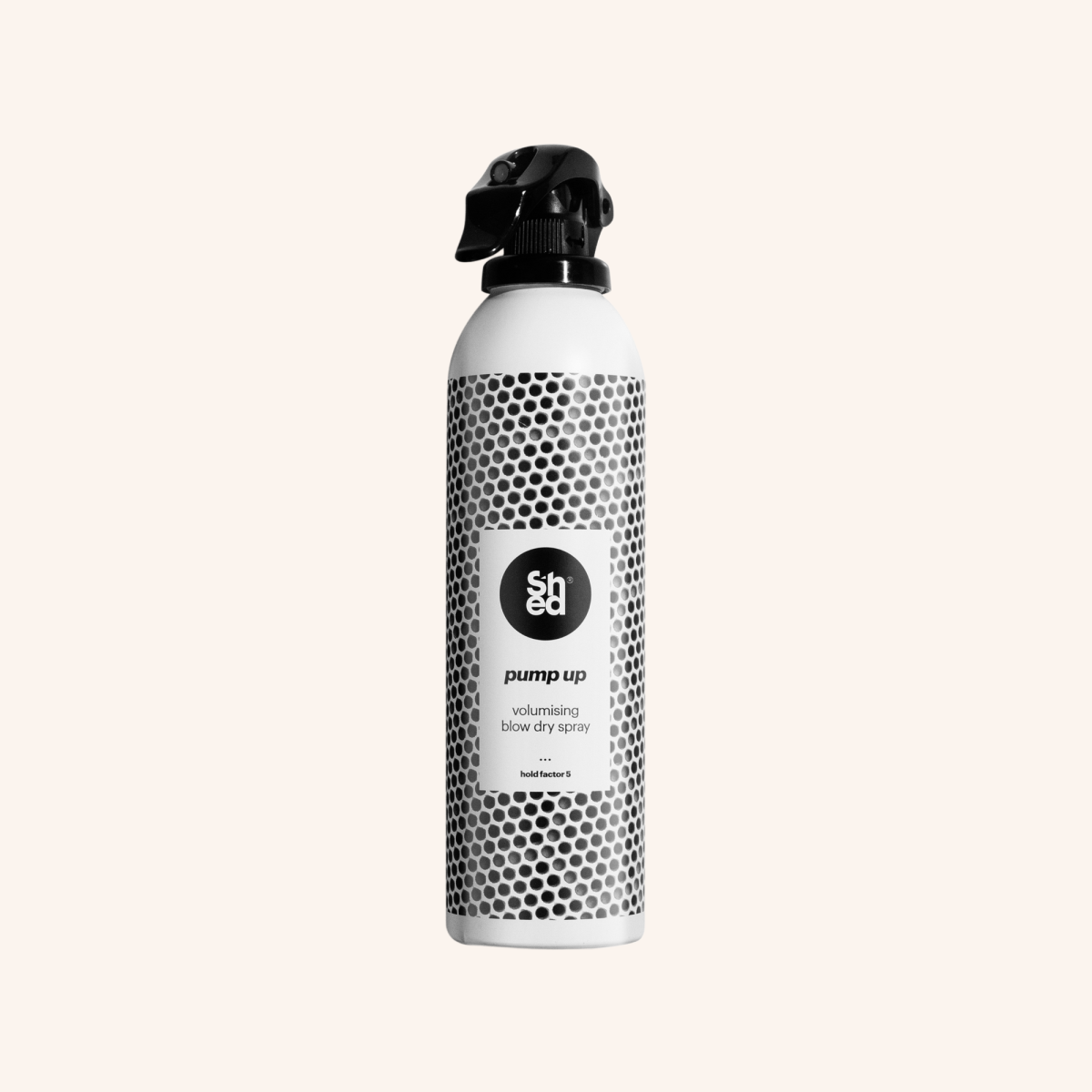 PUMP UP Blow Dry Spray